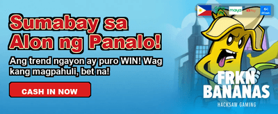 SlotVIP Premium Casino Experience